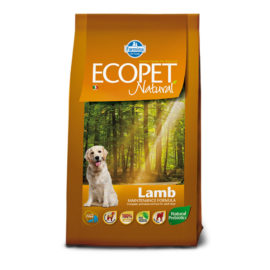 ECOPET NATURAL LAMP MEDIUM