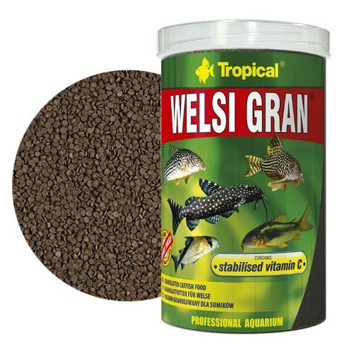 Tropical Welsi Gran 