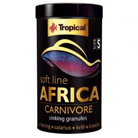 Tropical Africa Carnivore size S