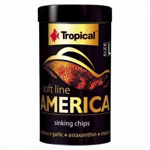 Tropical America size L