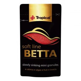 Tropical Betta