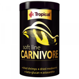 Tropical Carnivore