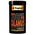 Tropical FD Calanus