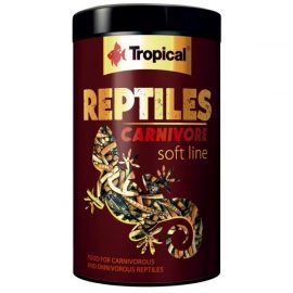 Tropical Reptiles Carnivore