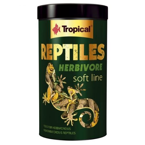 Tropical Reptiles Herbivore