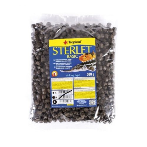 Tropical Sterlet Basic size L