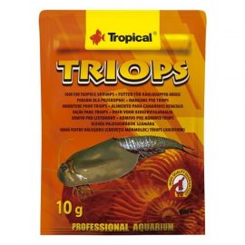 Tropical Triops