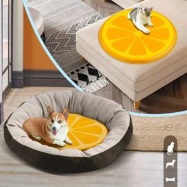 ALL FOR PAWS ΔΡΟΣΙΣΤΙΚΟ ΧΑΛΑΚΙ CHILL OUT ORANGE