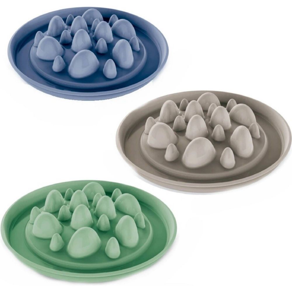 RECORD ΜΠΟΛ ΑΝΤΙΛΑΙΜΑΡΓΙΚΟ CACTUS RECORD ΜΠΟΛ ΑΝΤΙΛΑΙΜΑΡΓΙΚΟ CACTUS