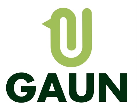 Gaun