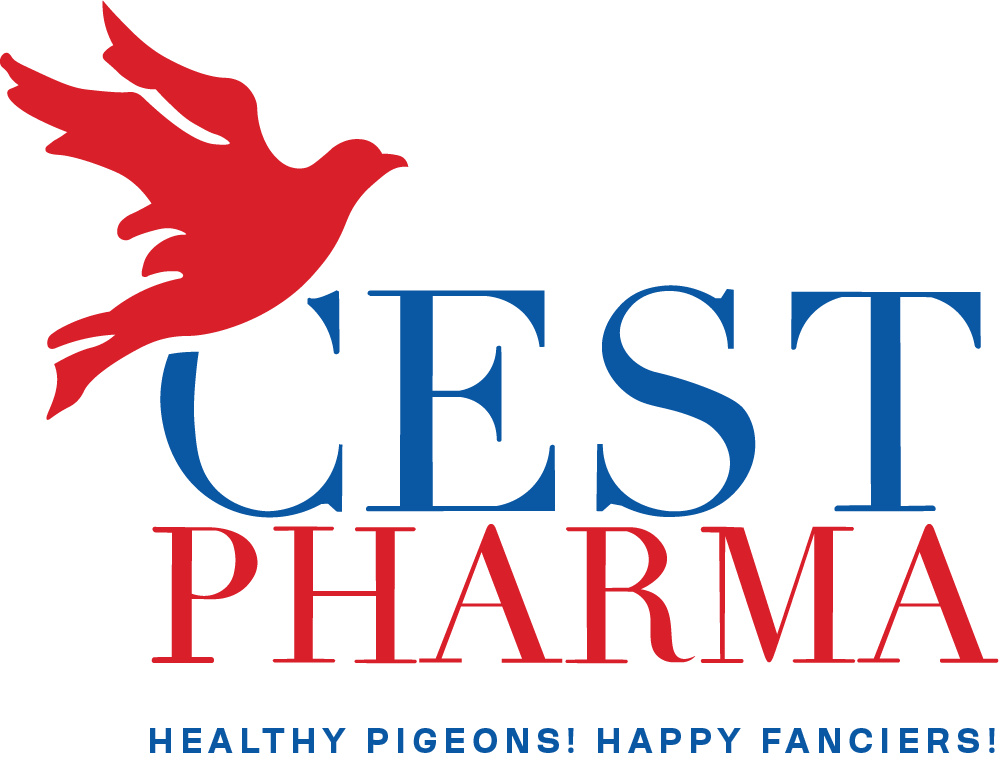 Cest Pharma